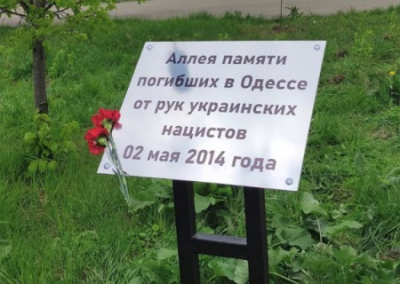 В московском парке «Митино» высадили аллею сакур в память о погибших в Одесской Хатыни